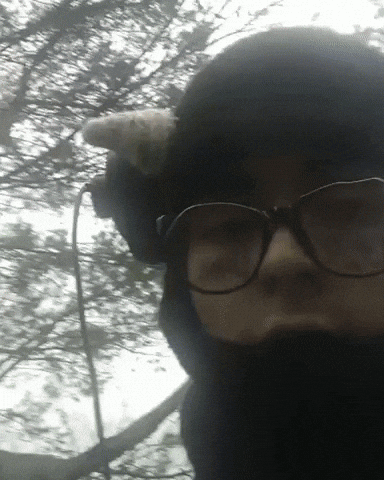 Xd Luv GIF