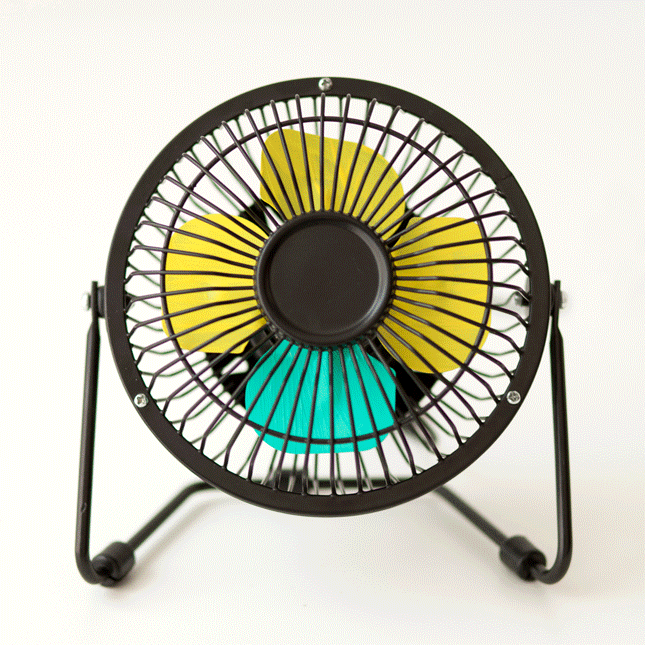 Fans GIF Find & Share on GIPHY