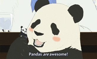 awesome panda GIF by hoppip