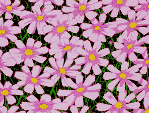 giphy.gif?cid=ecf05e473d1ek77e41f7dx3rvc