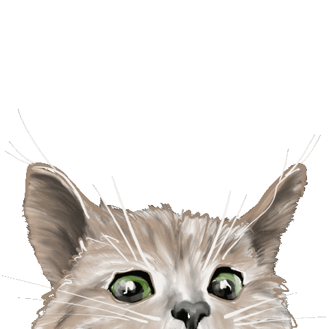 Кот Sticker