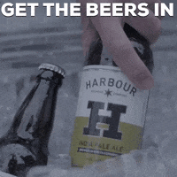 Cold Beer GIF by Harbour Brewing Co.