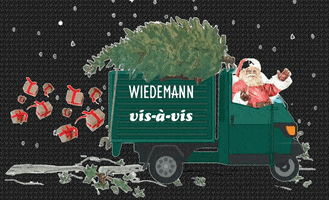 modewiedemann GIF