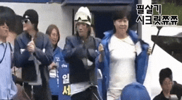 돼지 GIF