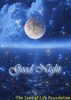 Good Night GIF by The Seed of Life Foundation