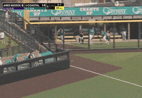 Own It GIF
