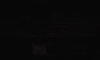 200.gif?cid=fc005b0881d9bb78398e544d7cddb686659ff17dd11551b8&rid=200.gif&ct=g