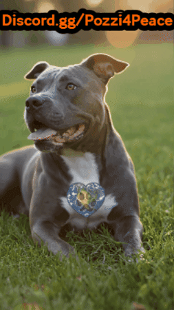 GIF by PozziRecycles
