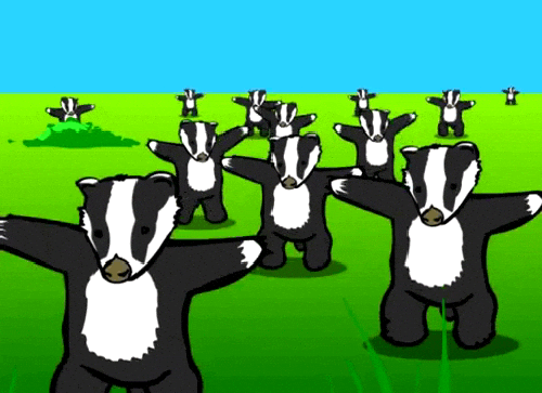 Badger GIFs - Get the best GIF on GIPHY