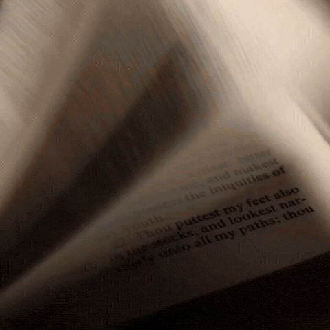Bible Pravda GIF