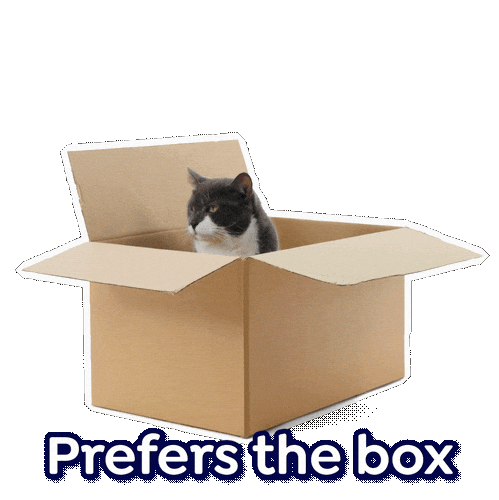 Cat Box Sticker by JistGroup