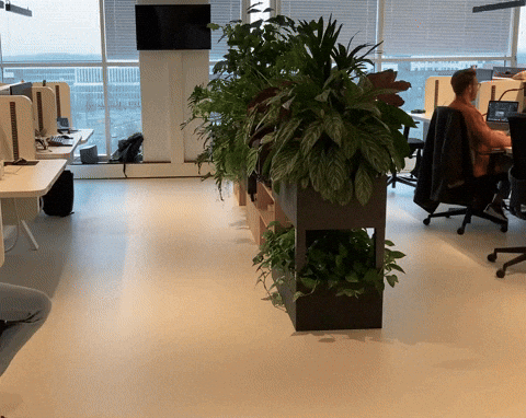 Team Phoenix Kantoor GIF by IMU.nl - Find & Share on GIPHY