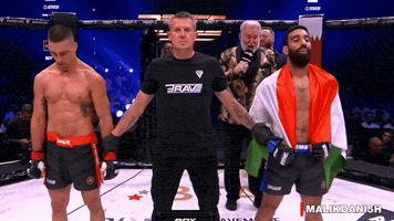 Khabib Nurmagomedov Ufc GIF