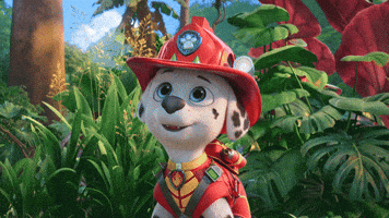 Awe Awww GIF by Paw Patrol Movies