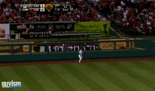 mike trout