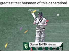 Steve Smith GIF