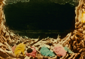 georges méliès voyage dans la lune georges melies gifs find share on giphy georges méliès voyage dans la lune georges melies gifs find share on giphy