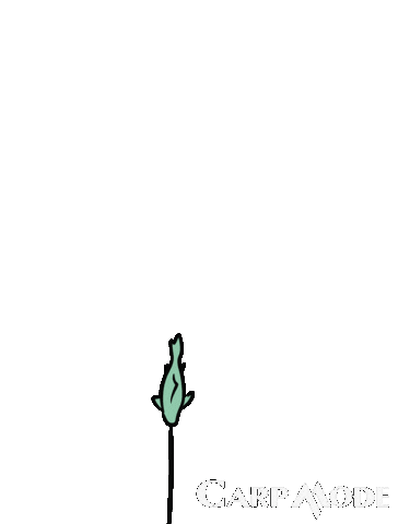 Fish Predator Sticker by Lucie Stejskalová