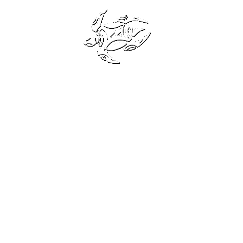 Xaloc Sticker by Hermanos de Sal