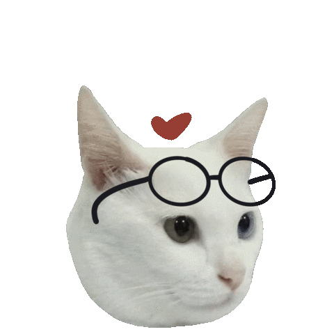 Cat Sticker
