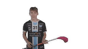 Ceskyflorbal Sticker by Florbal Mladá Boleslav