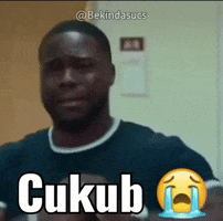 Bekindasucs GIF