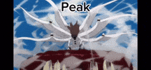 Fight Peak GIF