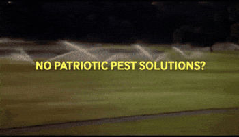 Ppsteam GIF by Patriotic Pest Solutions