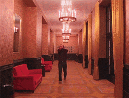 Shining Wes Anderson GIF by Digg