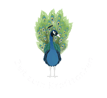 Power Peacock Sticker by Lebensbaum
