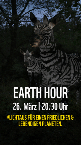 Earth Hour Zebra GIF by WWF Deutschland