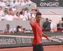 French Open Sport GIF