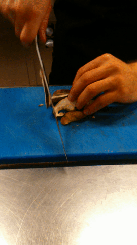 gastrogif  GIF