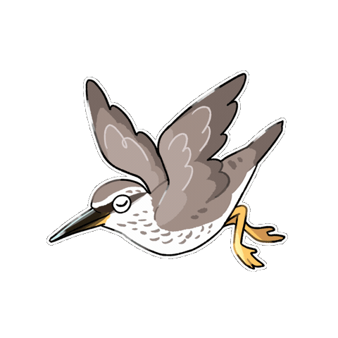 Bird 鳥 Sticker
