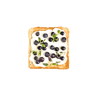 HanzasMaiznica Sticker