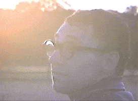 200.gif?cid=fc005b08599192cd182dd17aa3a26ce317520e37e00104c0&rid=200.gif&ct=g
