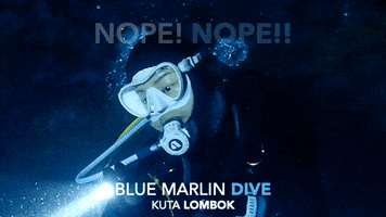 Scuba Diving Not A Chance GIF by BMKL
