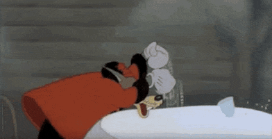 this is so stupid washington redskins GIF