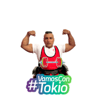 Peru Paralympics Sticker by Instituto Peruano del Deporte