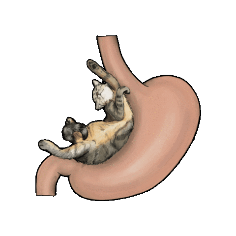 Animated Sticker