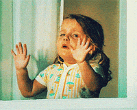 Tantrum-cat GIFs - Get the best GIF on GIPHY