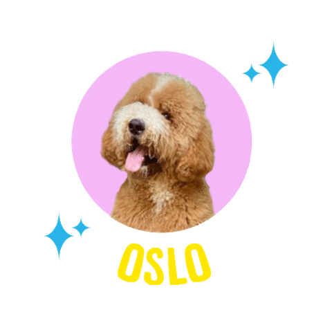 Dogs Oslo Sticker by Z Giant Poodles