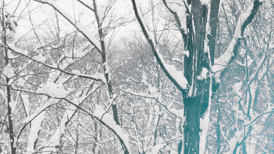 Snow Winter GIF - Find & Share on GIPHY