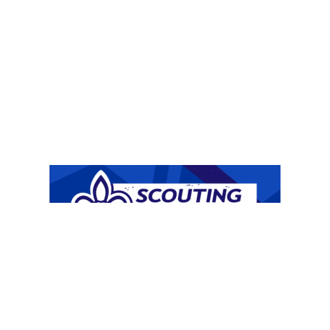scoutingireland Sticker