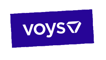 Freedom Netherlands Sticker by Voys