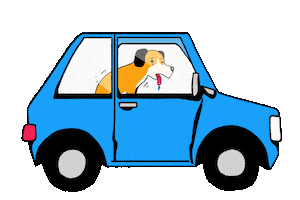 VETO Tierschutz Sticker