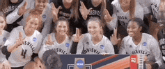 Georgia Tech Volleyball GIF by NCAA Championships