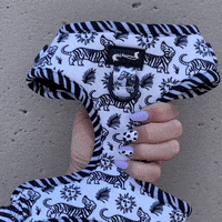 Zebra Doxie GIF by beangoods