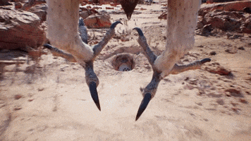 Close Call Meerkat GIF by Unreal Engine