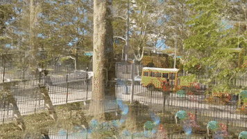 Time Lapse Trees GIF by Mollie_serena